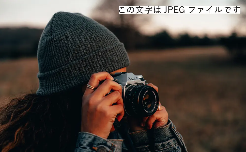 JPEG使用ファイルの画像