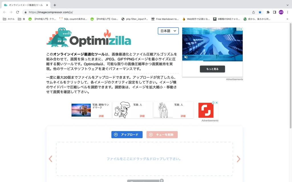 Optimizillaの画像